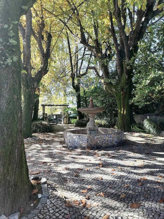 Camelia Rooms Guimaraes Luaran gambar
